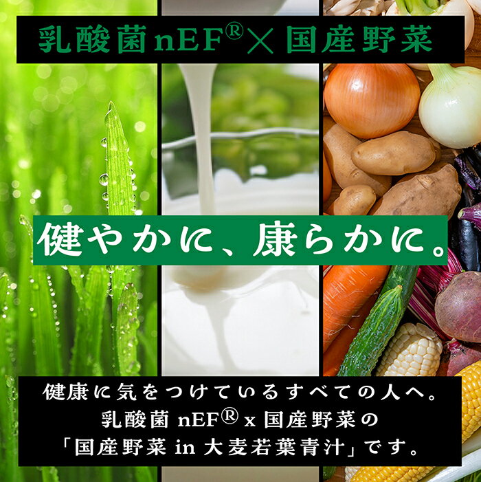 青汁 100包入り 国産野菜in大麦若葉青汁 ...の紹介画像2