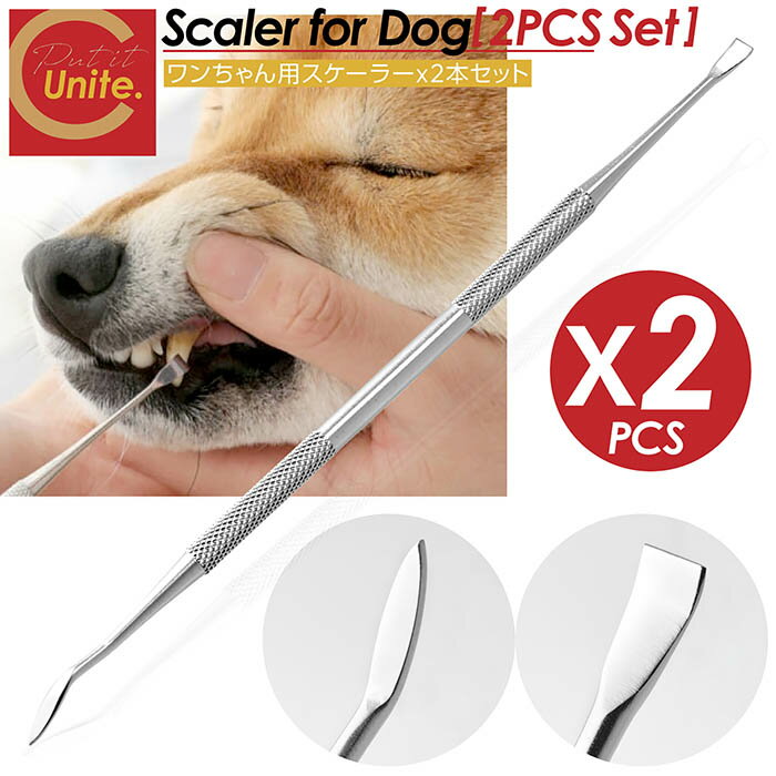 【お買得なセット販売!プレゼントキャンペーン中!送料無料! 】ペット用 スケーラー 2本セット 歯石 歯石取り 犬 猫 ネコ 歯磨き 安全 口腔ケア 器具 犬用...