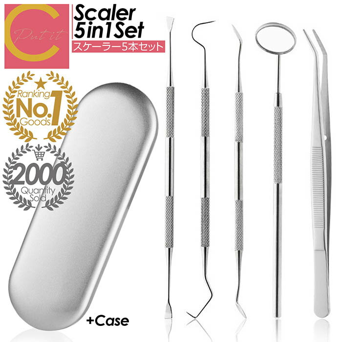 高評価★4.50獲得！累計販売数2000個突破！【 プレゼントキャンペーン中！1000円ポッキリ！ 送料無料 】スケーラー 5点セット デンタルケア ケース付き 男女兼用 歯石取り 歯垢取り ヤニ取り 歯石 プラーク 除去 器具 自宅用 ステンレス製 先極細 デンタルツール 犬 ペットのサムネイル
