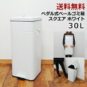 【送料無料】30L ペダル式 ペール ゴミ箱 スクエア ホワイト シンプル ゴミ箱 ゴミ箱 ダストボックス ごみ箱 ゴミ箱【fsp2124】 【送料無料・送料込】