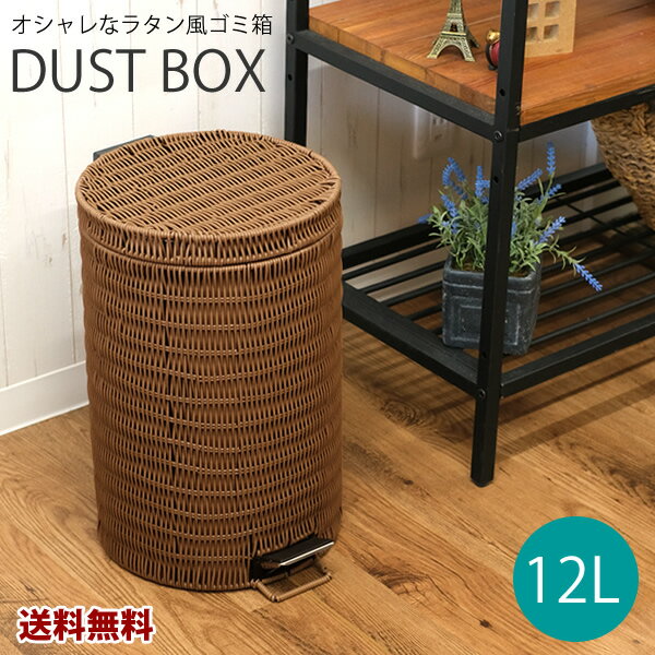 rattan_dust12_001.jpg
