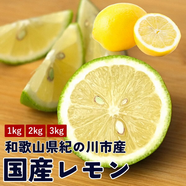 【送料無料】紀の川市産 ハウス栽培 国産レモン 1kg 2kg 3kg リスボンレモン 国産 和歌山県産 グリーンレモン イエローレモン フルーツ 果物 不揃い