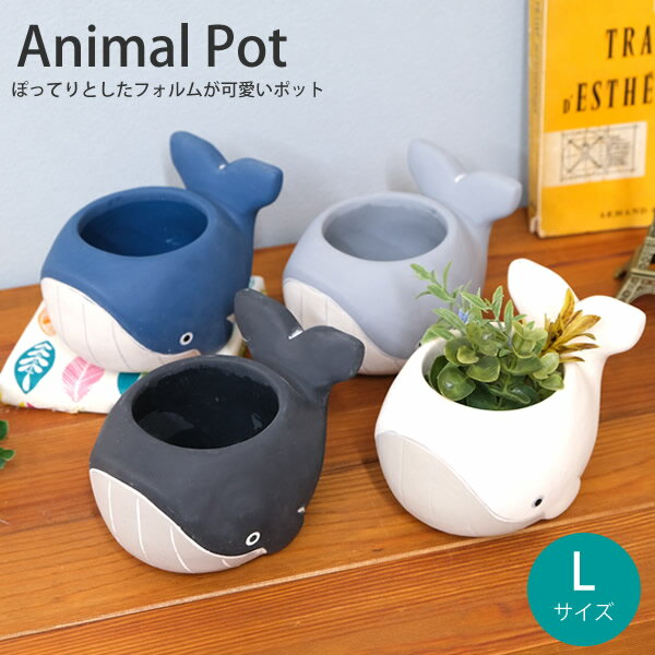 楽天市場】貝殻 パーツ（植木鉢・プランター｜ガーデニング・農業