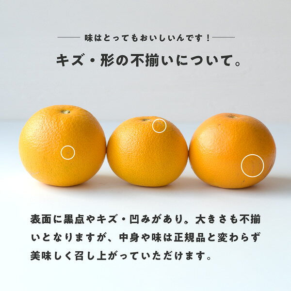 ������̵����FD02���񻺤Ϥä������²λ�������1Kg��2Kg��3Kg�������ꡡ�櫓���ꡡ��·�����������ѡ����󤭤ġ�����ࡡ�������ѡ�������Ρ���ʪ���ե롼��
