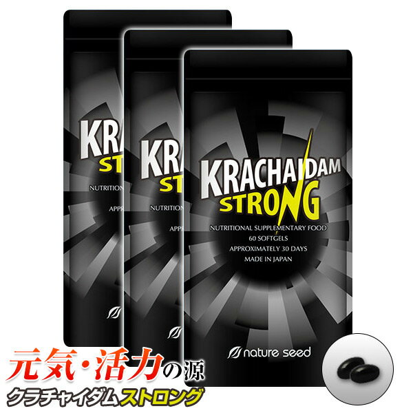 【送料無料】クラチャイダム:3袋(60粒×3)[約3ヶ月分]アルギニン豊富なクラチャイダムで男の活力アップ！【クラチャイダム・黒生姜・黒ウコン・ブラックジンジャー・必須アミノ酸・BCAA】