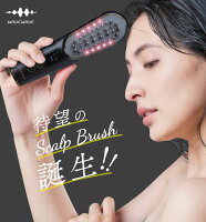 3,200円オフクーポンあり★最新型デンキブラシ　スキャルプブラシプロフェッショナル　プロ　WAVEWAVE　Scalp Blrush Professional ウェイブ　EMSブラシ　電気ブラシ　育毛　リフトアップ　ラジオ波　赤色LED　頭皮ケア　フェイスケア　ダブルケア　2WAY　LED光エステ