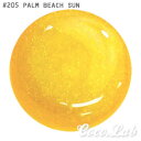 ●フォーカス彩ジェル彩カラージェル　　#205　PALM BEACH SUN美カラー＆しっかり発色でアレンジ自在！