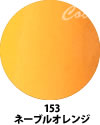 CanI/キャンアイ ボトルタイプジェル 12g＃153　ネーブルオレンジ【日本製】【ネコポスOK】【RCP】