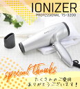 【サロン専売/1年保証】業務用500万イオンでサロンのような美しい仕上がり！イオナイザー　IONIZER TS-3200 マイナスイオンドライヤー　　イオンドライヤー　サロン専売　うるツヤ