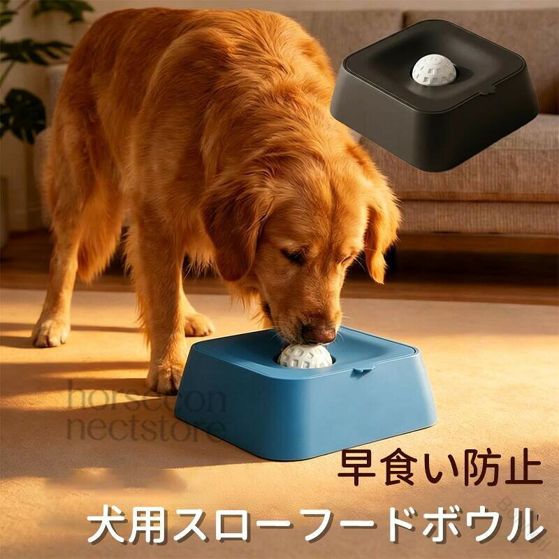 ■ カラーブルー、ブラック