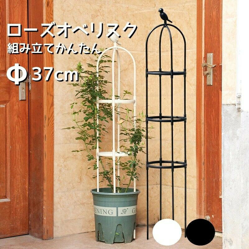 ■ カラーブラック