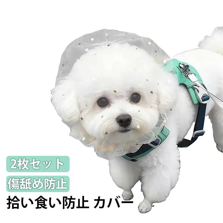 ■ サイズ2枚セット