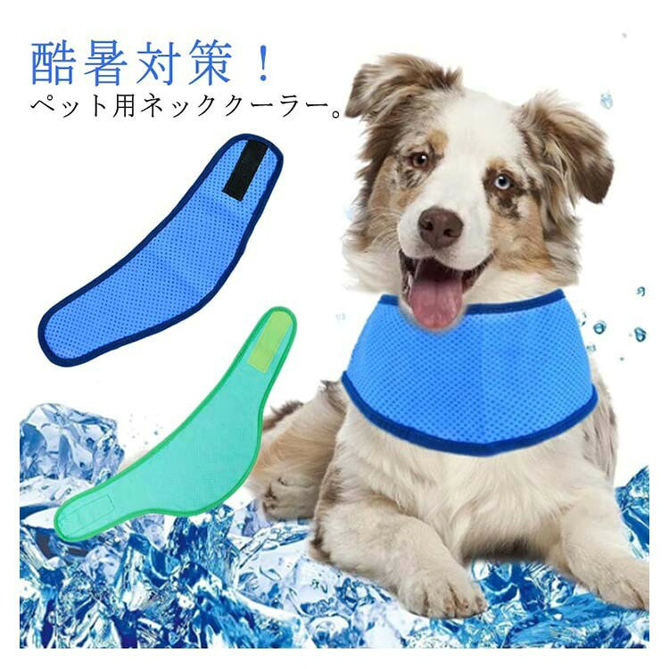 犬用 クールネックバンド 2点セット ペット用 猫用 冷感グッズ 熱中症対策 暑さ対...