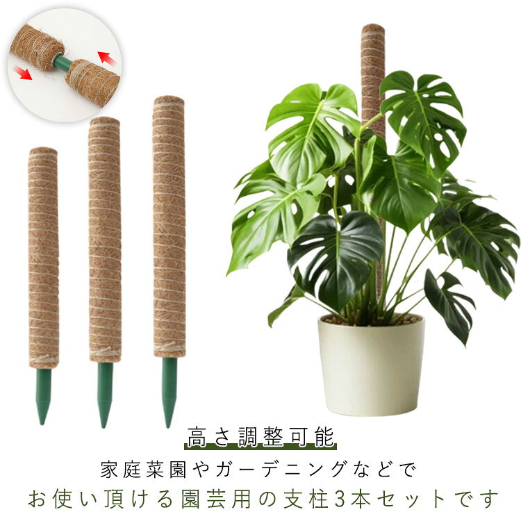 3本セット 植物サポート モンステラ支柱 ココスティック 高さ調整可能 ポトス 観葉...