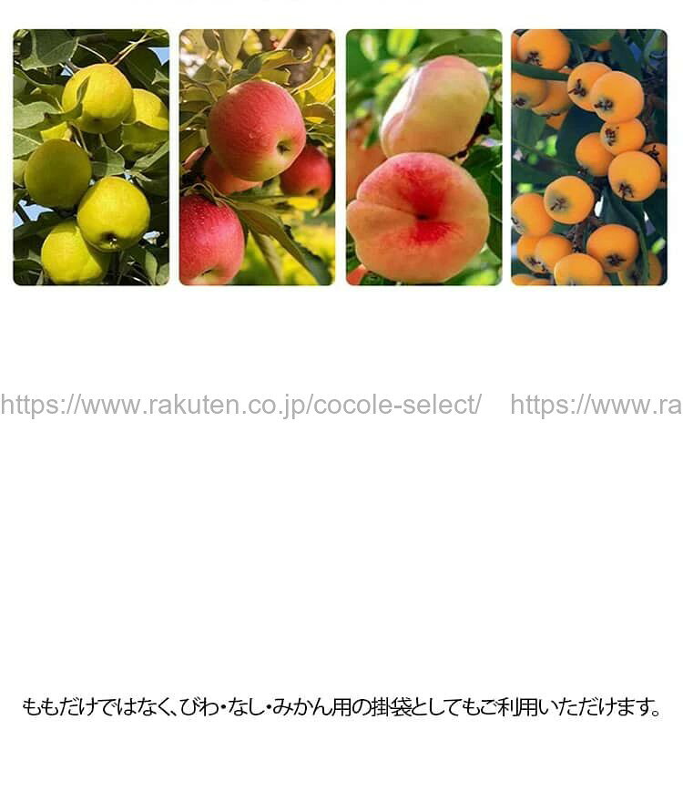 cocole-selectの桃の掛け袋 保護袋 ブイカット 厚手 二重掛袋 防虫・防鳥・防雨・防日灼 15×18/16×19センチ 200枚入｜アングル3