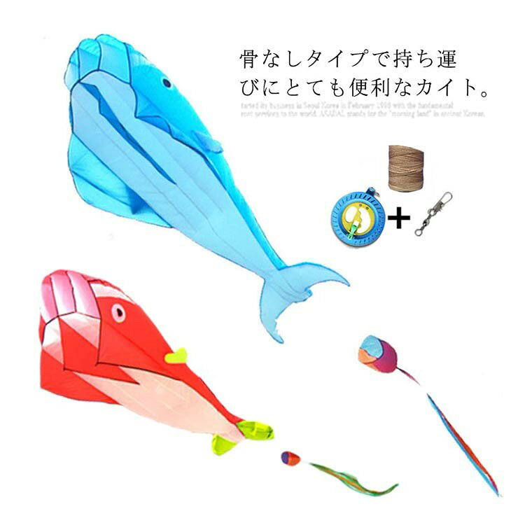 骨なしカイト 立体イルカ 折り畳める 軽量 持ち運び便利 公園 遊び 子供 おもちゃ アウトドア