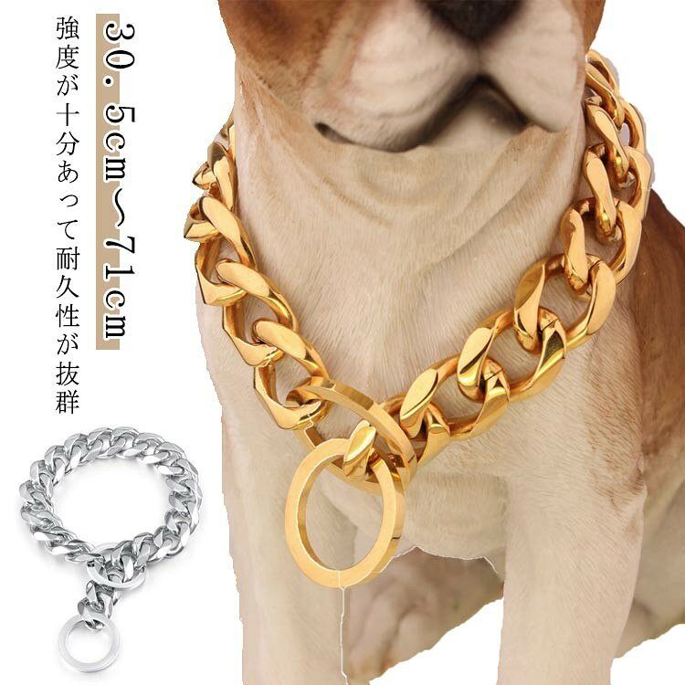 ワンちゃん用 デザイナーズ首輪 ステンレス製トレーニングリード兼用品 お洒落な金属首掛け