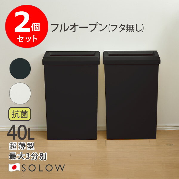 乐天商城 - ゴミ箱 [SOLOW フルオープン 40L 2個セット] [リス] RISU SOLOW ソロウ 隙間や通路で使えるダストボックス 2分別 3分別 抗菌加工 防汚加工 スライド式 交換簡単 袋留め付 取付簡単 ホワイト ブラックGSLW044 GSLW045【フラリア】【ポイント2倍】
