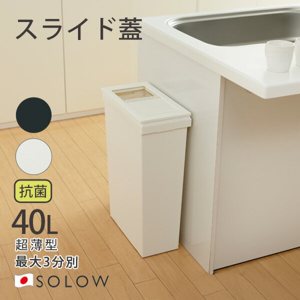 乐天商城 - ゴミ箱 [SOLOW スライドオープン 40L] [リス] RISU SOLOW ソロウ 隙間や通路で使えるダストボックス 2分別 3分別 抗菌加工 防汚加工 スライド式 交換簡単 袋留め付 取付簡単 ホワイト ブラックGSLW042 GSLW043【フラリア】【ポイント2倍】