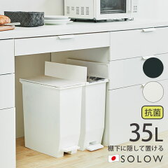 https://thumbnail.image.rakuten.co.jp/@0_mall/cocolo556/cabinet/risu/solow_pedust35-91.jpg