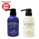 ROYD ロイド カラーシャンプー ムラサキ 300ml＆ロイドヘアトリートメント カバー&キープ 300g　セットシャンプー ・トリートメントセット まとめ買い