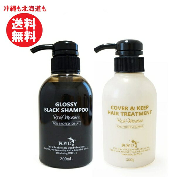 ROYD ロイド カラーシャンプーブラック300ml＆ロイドヘアトリートメント カバー&キープ 300g　セット【沖縄も北海道も送料無料】シャンプー ・トリートメントセット まとめ買い