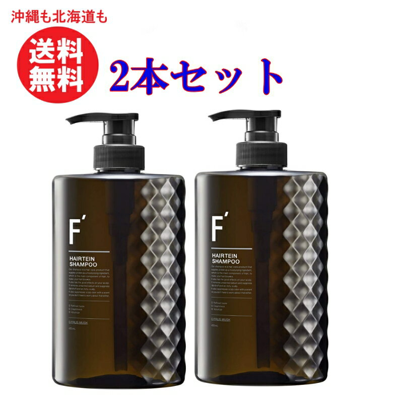 F' エフダッシュ ヘアテインシャンプー450ml シトラスムスクの香りスカルプ スカルプケア ボリュームアップ 髪 ハリ コシ フケ かゆみ 抜け毛 ベタツキ ニオイ 頭皮ケア 男性 爽快 時短 ボタニカル シャンプー メンズ