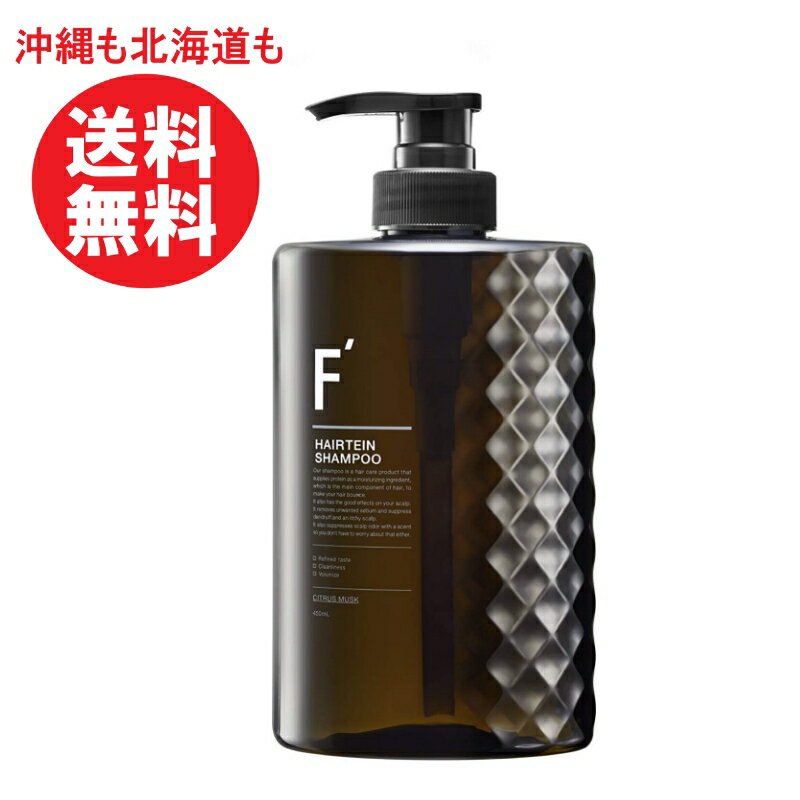 F' エフダッシュ ヘアテインシャンプー450ml シトラスムスクの香りスカルプ スカルプケア ボリュームアップ 髪 ハリ コシ フケ かゆみ 抜け毛 ベタツキ ニオイ 頭皮ケア 男性 爽快 時短 ボタニカル シャンプー メンズ　送料無料