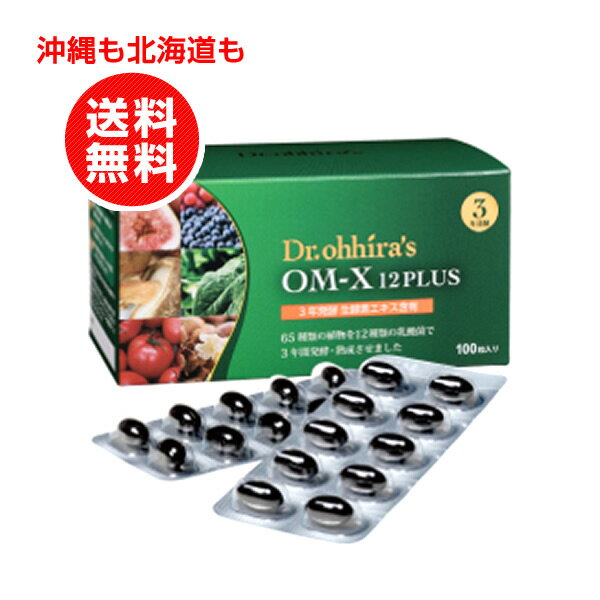 om-x 12PLUS 生酵素（オーエム・エックス 12プラス） 100粒入 OMX酵素 生 酵素 サプリ サプリメント 酵素サプリ 酵素サプリメント 発酵酵素 乳酸菌 発酵 熟成 健康食品 健康サプリ 健康サプリメント 日本製