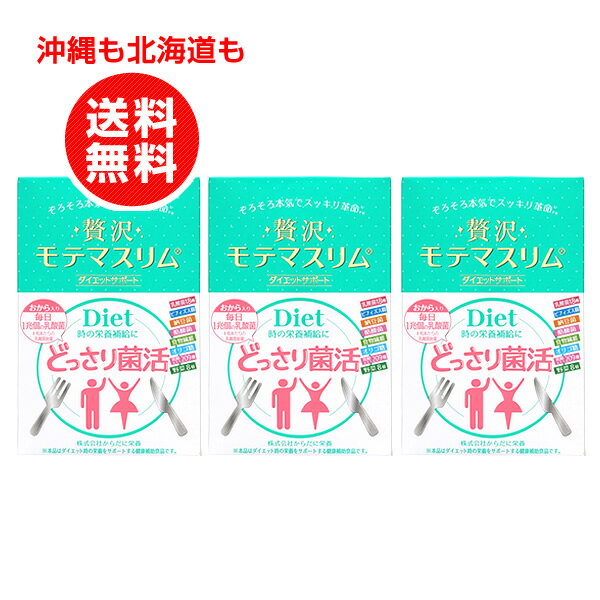 贅沢モテマスリム 80粒入り 3個お得セット ダイエットサプリメント【沖縄も北海道も送料無料】ダイエットインナーサポート/乳酸菌/ビフィズス菌/納豆菌/ダイエットサプリメント/ダイエットサプリ