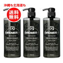 【3/1～エントリーでポイント5倍】ディノメン DiNOMEN 薬用デオドラント ボディソープ　700ml 3本お得セット まとめ買い【体臭 乾燥ケ..