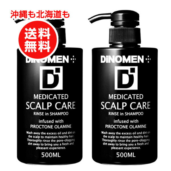 お得2本セット ディノメン DiNOMEN 薬用スカルプケア リンスインシャンプー 500ml【沖縄も北海道も送料無料】