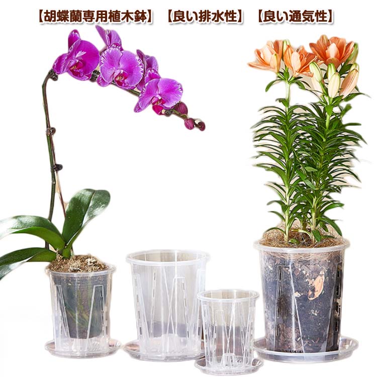 6鉢セット 胡蝶蘭専用 植木鉢 胡蝶蘭の植え替え 受皿付き 多穴型 通気性 根腐れ防止 直径10cm 直径12cm 直径14cm 直径16cm 排水穴付き プラスチック おしゃれ 蘭の鉢 観葉植物の鉢 クリア 根が見える多肉植物 洋蘭 胡蝶蘭 送料無料