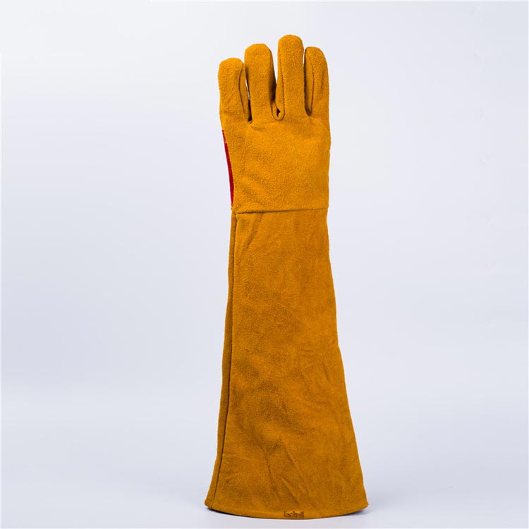 ���ߤĤ� �ɻ� ���׼��� Ĺ��60cm �ڥåȥ������� ���ä��� �ɻ� �ݸ� ���� ���󥰥����� ���� �� ���ߤĤ��ɻ� ���ߤĤ��ɻ߼��� ǭ �� �������� �����եƥ��������� ��� �������� ��Ǯ�� ��Ǯ�������� 5�ܻ� ����� �����ǥ˥� �����ߤ�