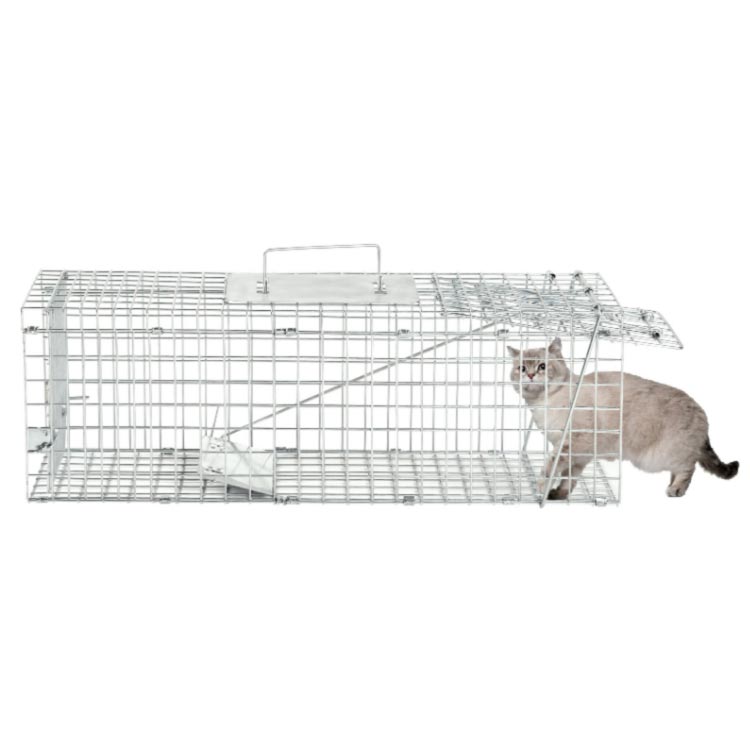 ��ʹ� ǭ �� ��� Ƨ�ļ� �»�ǭ ��͵� �»� ���� ���� ưʪ ��� �ݸ� �⥰�� ��� �� ���˥ޥ륭��å��㡼 �ϥ��ӥ��� ���� ��ưʪ ưʪ ��ʹ� ǭ�� ����ǭ ����ǭ ������ ưʪ��ʹ� ������ �ޤꤿ���� �ڥå� �� �� Ȫ