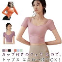 ヨガウェア トップス プラクティスシャツ 半袖 レディース Tシャツ カップ付き ショート丈 ストレッチ 通気性 美背 インナー トレーニング ヨガ ピラティス...