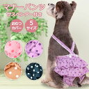 【LINE追加5%OFF】ペット用品 犬用マナーパンツ 犬用 サニタリーパンツ 犬用パンツ 犬 いぬ ペット 犬服 介護 お出かけ マーキング防止 ぬげにくい ...
