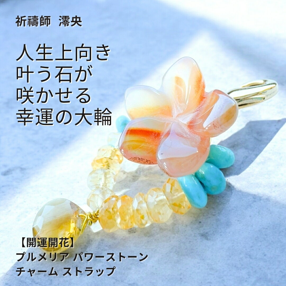 ĴߤФ̴ؤγʤ夬 ڳ֡ ץꥢ ѥȡ㡼 ͥꥢ  ȥ ӥ...