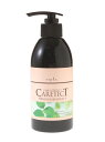 《正規販売店》 ケアテクトHB カラーシャンプー Vタイプ NET.300mL ナプラ