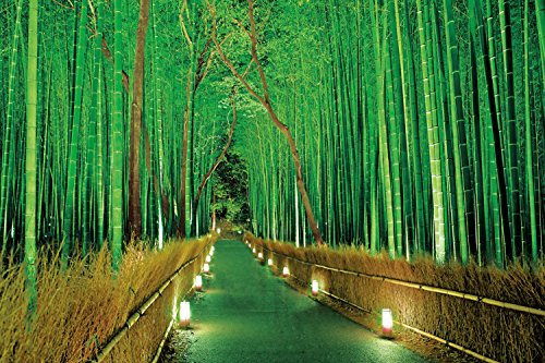 2016ベリースモールピース明かりの灯る竹林-嵯峨野/50×75cm/23-546・完成サイズ：50x75cm商品紹介 完成サイズ：50x75cm 安全警告 小さなピースが含まれますので、お子様が誤って飲み込まないようにご注意ください。