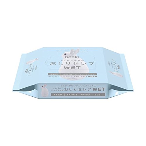 お徳用 10 セット ネピア おしりセレブWET 詰替え用 無香料 60枚入×10セット