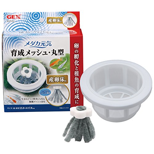 GEX メダカ元気 プラスチック 育成メッシュ 丸型 卵の孵化 稚魚の保護・育成用 食卵防止 産卵床付 メダカ飼育用のサムネイル