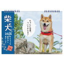 2025年 柴犬やんちゃなおはなしカレンダー(B5) No.035