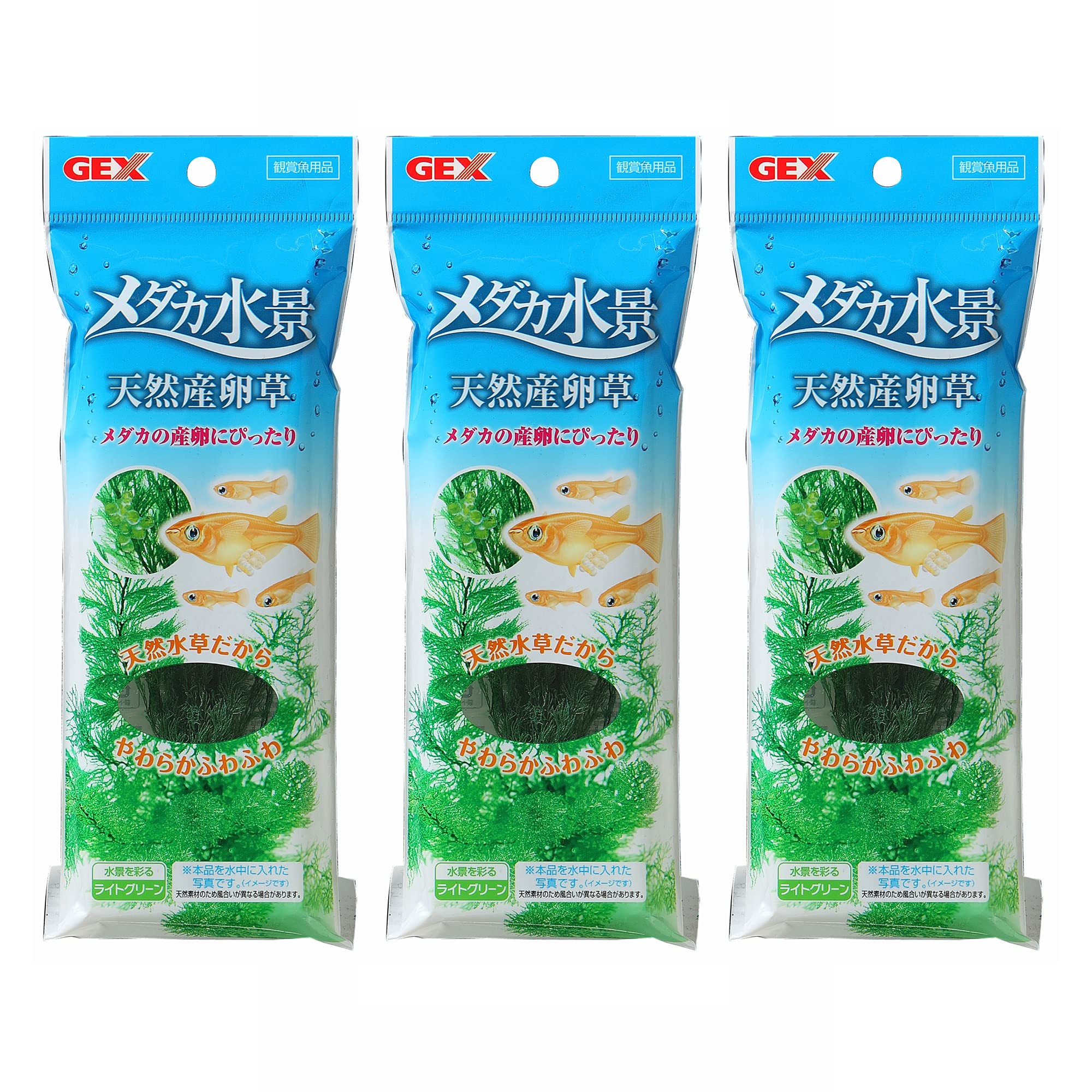 å GEX   ŷ3ĥå