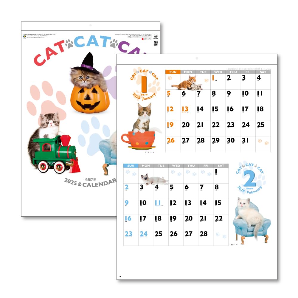 󥰥ݥ졼 2025ǯ  ɳݤ CATCATCAT B3 535380mm KC30128