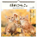 ホールマーク 2025年 カレンダー 壁掛け 大 ほめにゃんこ 834-630