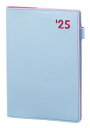 レイメイ藤井 手帳 2025年 スケジュール帳 カラーエッジダイアリー ウィークリー B6 ブルー RFD2529A 2024年 12月始まり