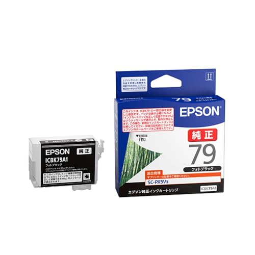 Refill Ink - エプソン 純正 インクカートリッジ 竹 ICBK79A1 フォトブラック