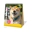 新日本カレンダー 2025年 カレンダー 卓上 柴犬まるのおしゃべり週めくり NK4308