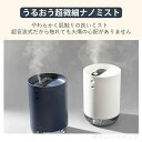 充電式 上から給水 上部給水 オフィス 卓上加湿器 コードレス ベッドサイド ポータブル オフィス 小型 コンパクト